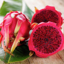 Aseptic Dragon Fruit Purée