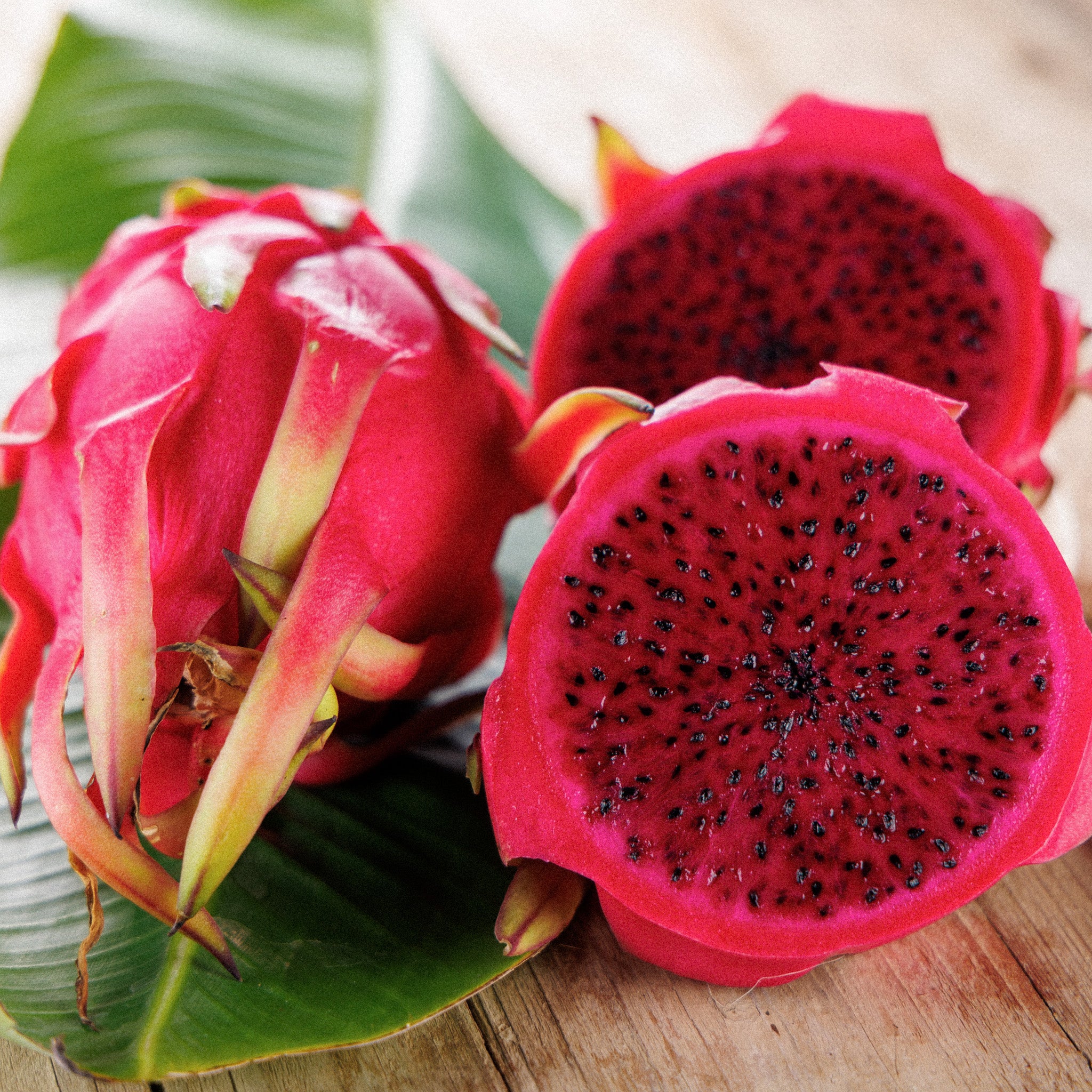 Aseptic Dragon Fruit Purée