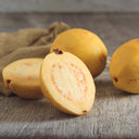 Aseptic Guava Purée