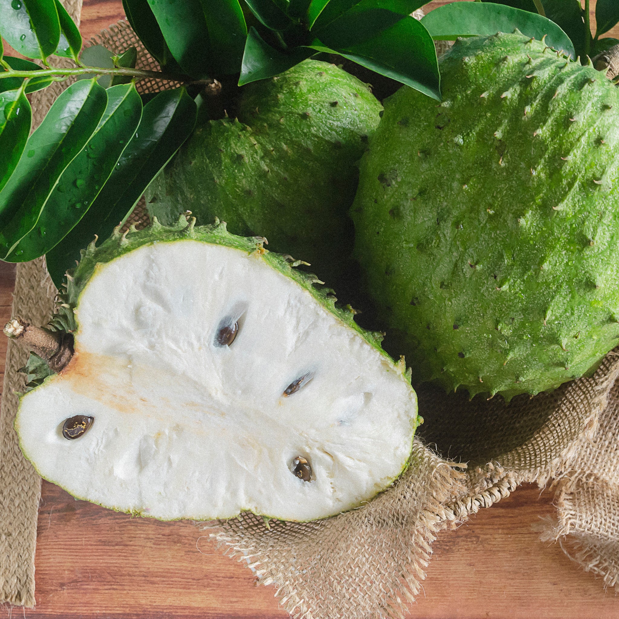 Aseptic Soursop Purée
